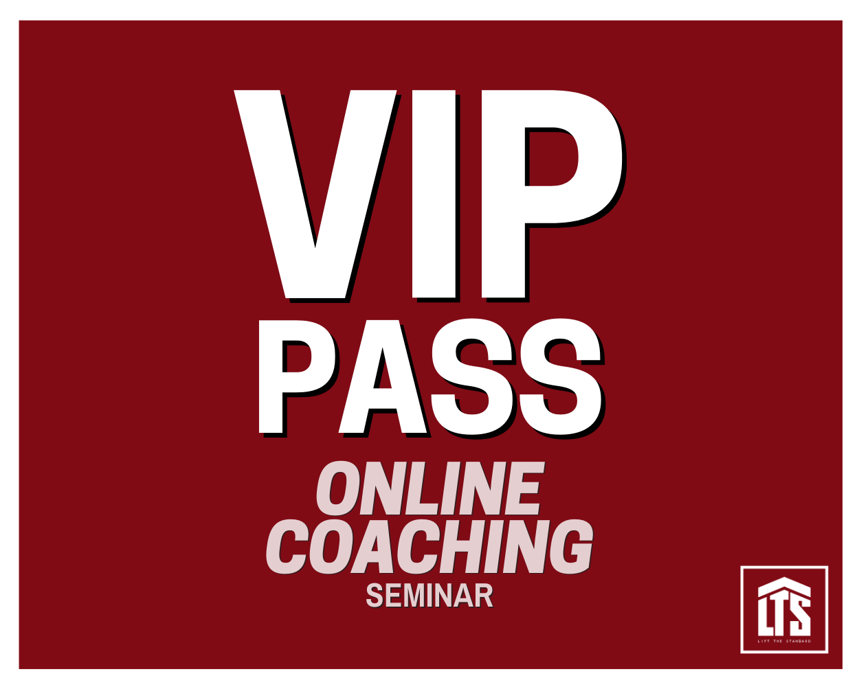 2. LTS Online Coaching Seminar VIP Pass